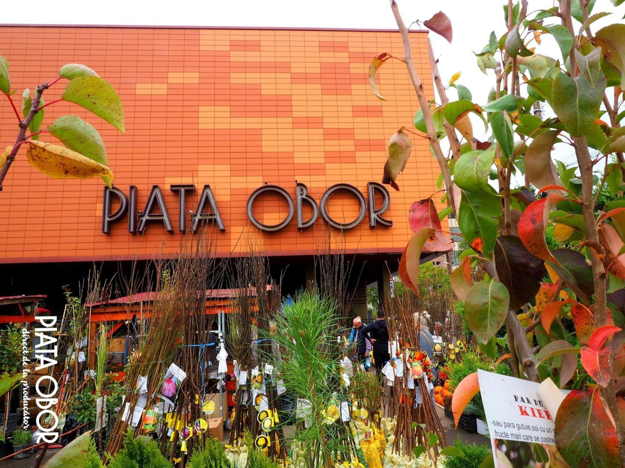 Cozy City Retreat, Obor Market & Metro Boekarest Buitenkant foto
